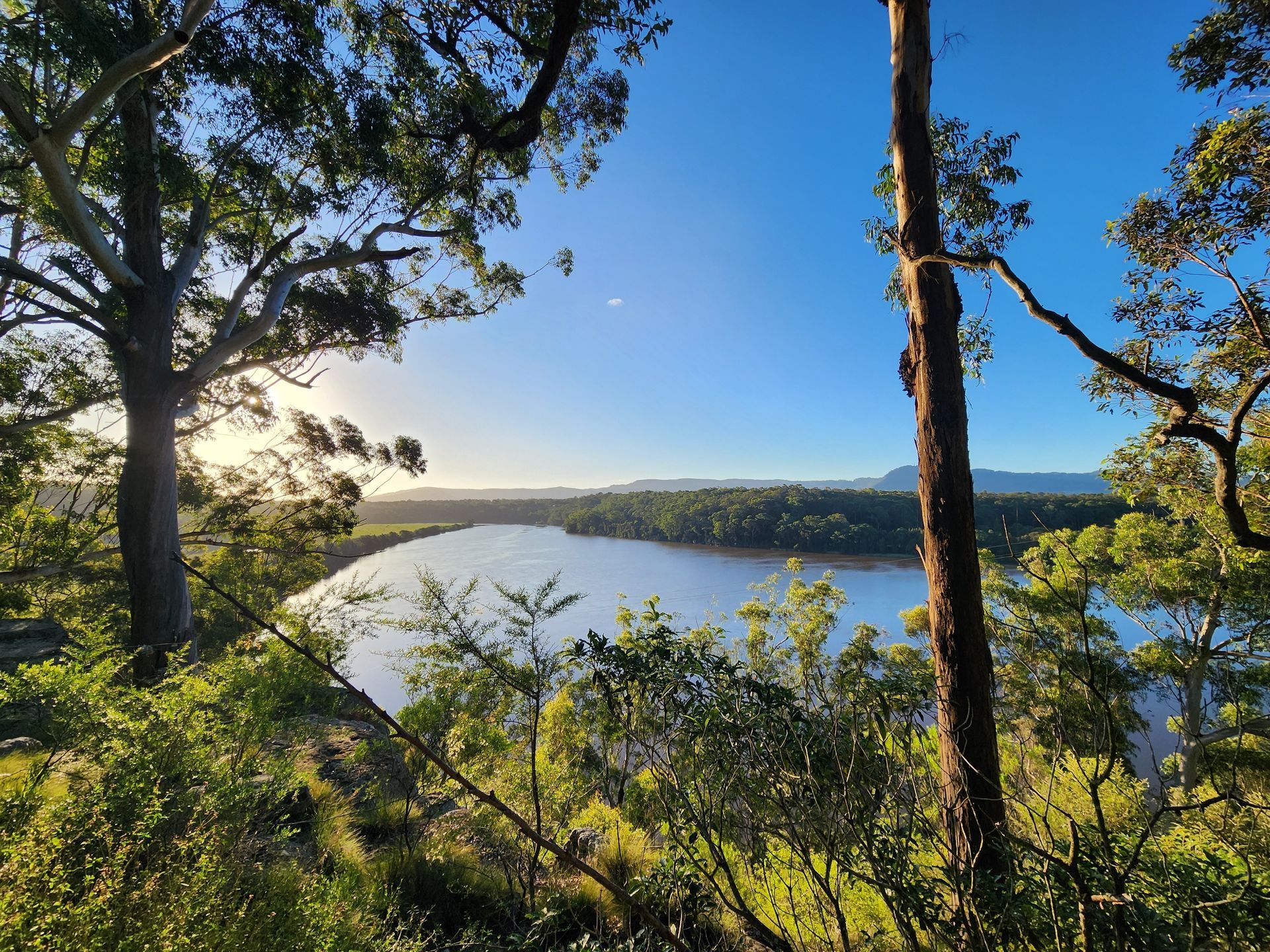 A View Of A Lake Through The Trees On A Sunny Day — Schutz Landscape and Garden Supplies in Shoalhaven, NSW