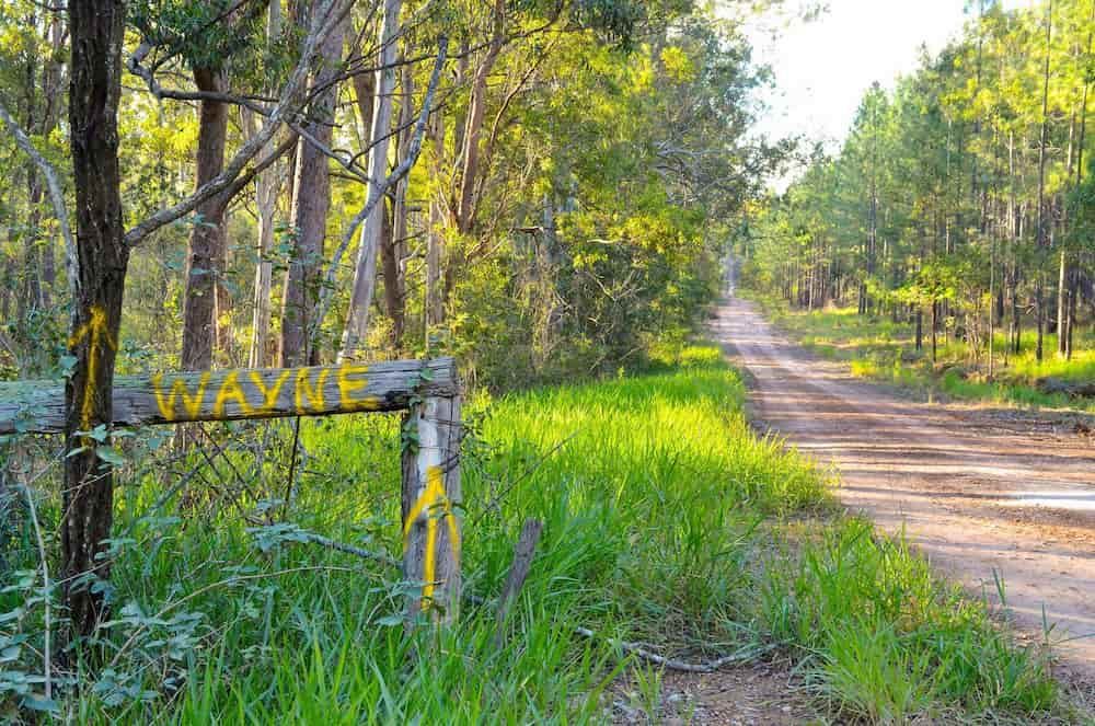 A Dirt Road Going Through A Lush Green Forest With A Wooden Sign In The Foreground — Gympie Septic Pump Outs In Glenwood, QLD