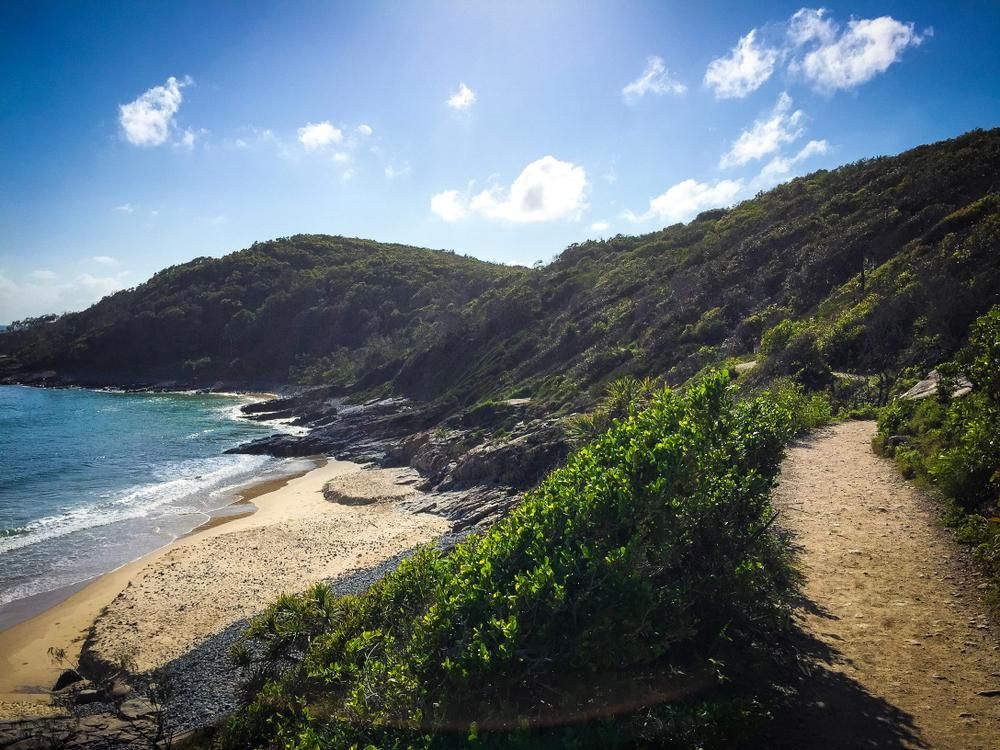 A Path Leading To A Beach On A Sunny Day — Gympie Septic Pump Outs In Kin Kin, QLD