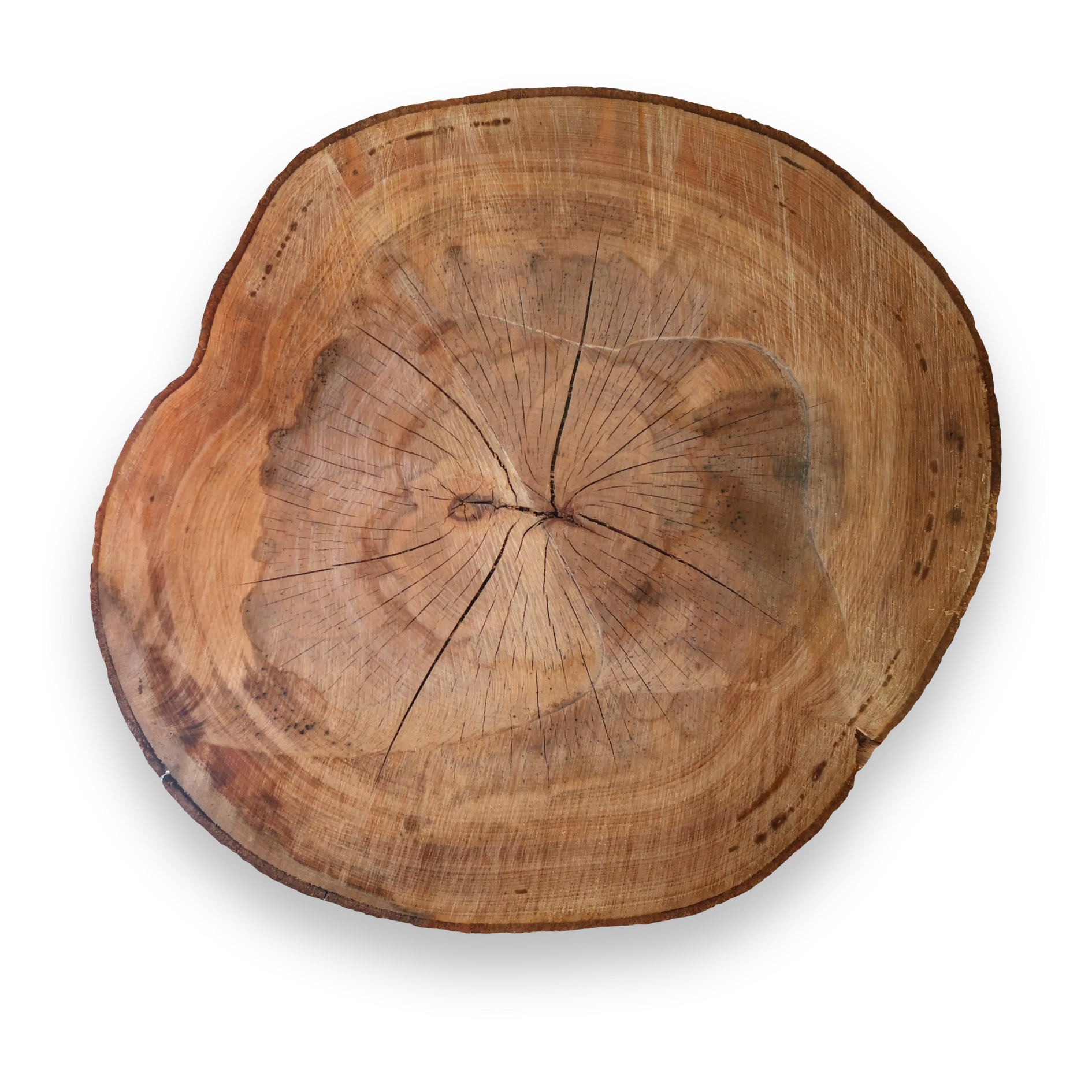 A piece of wood with a circular pattern on it