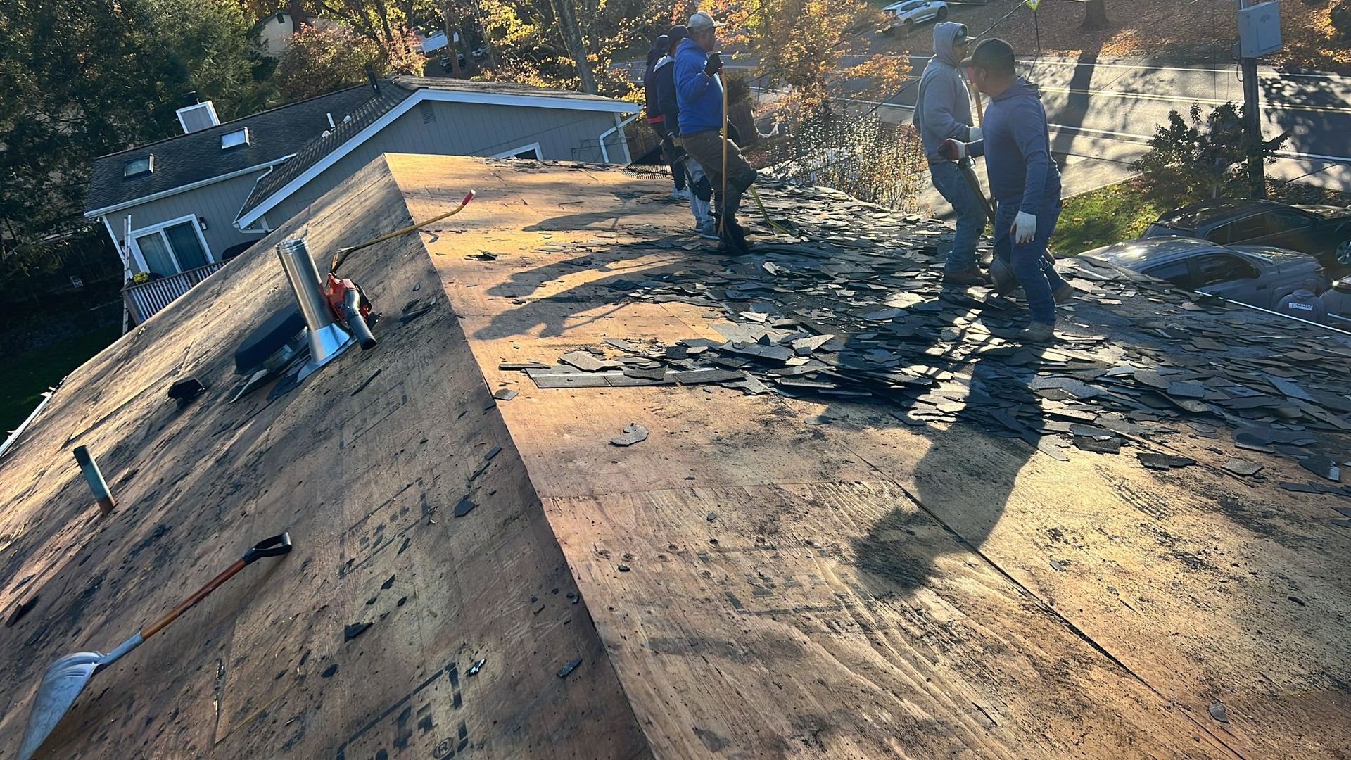 People on a roof removing old shingles. Sunlight illuminates the wooden surface and workers.