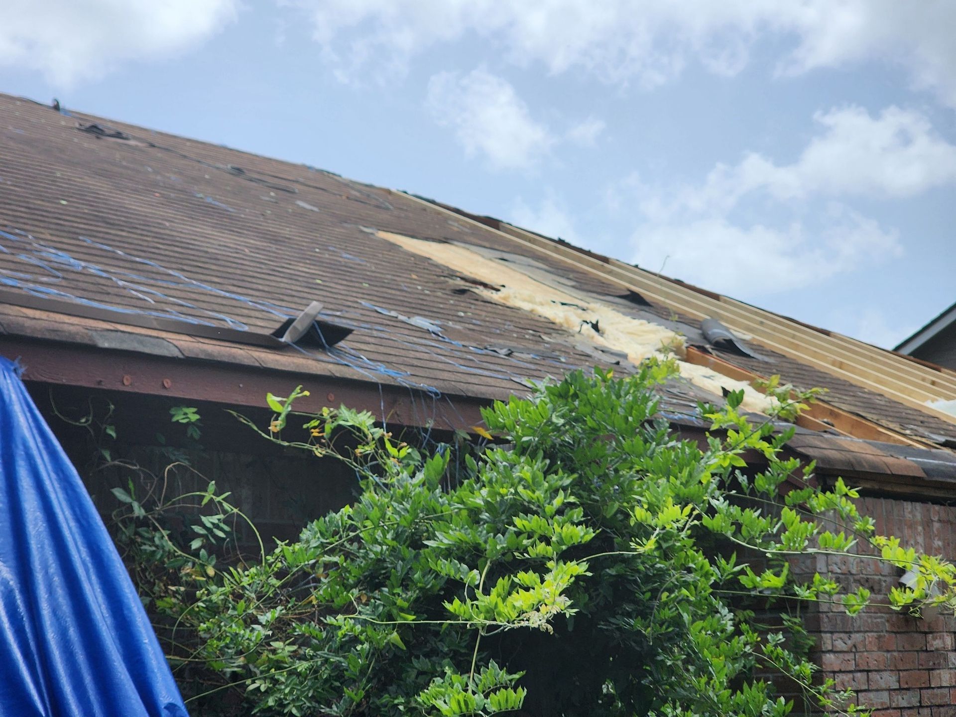 Damaged roof with missing shingles; blue tarp and overgrown vegetation in foreground. Cloudy sky.