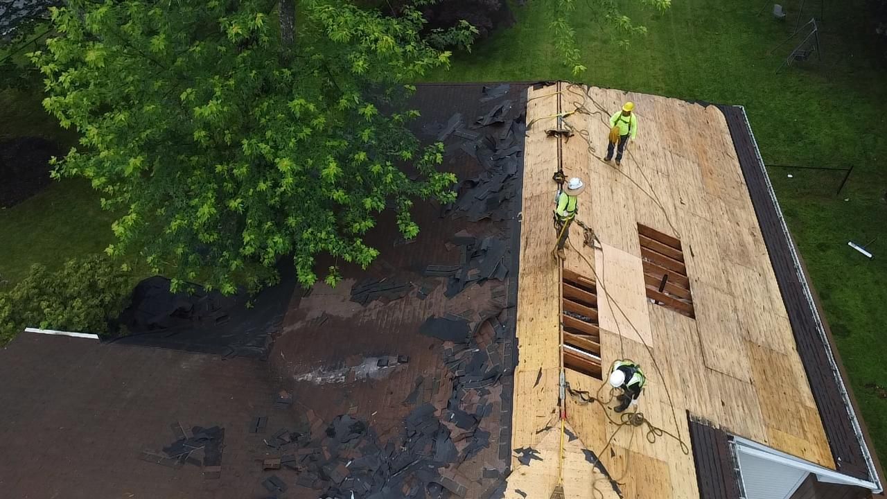 Workers in yellow vests repair a roof. One section shows old shingles; another, new wood. A green tree is nearby.