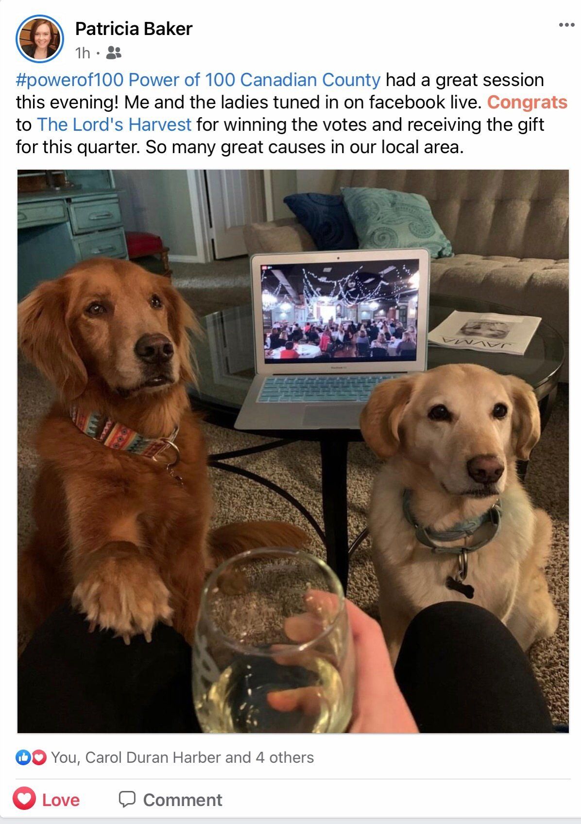 Two dogs are sitting on a table next to a person holding a glass of wine.