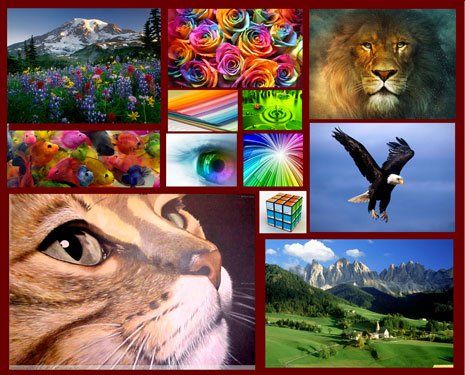 Impresos Aldana impresión digital