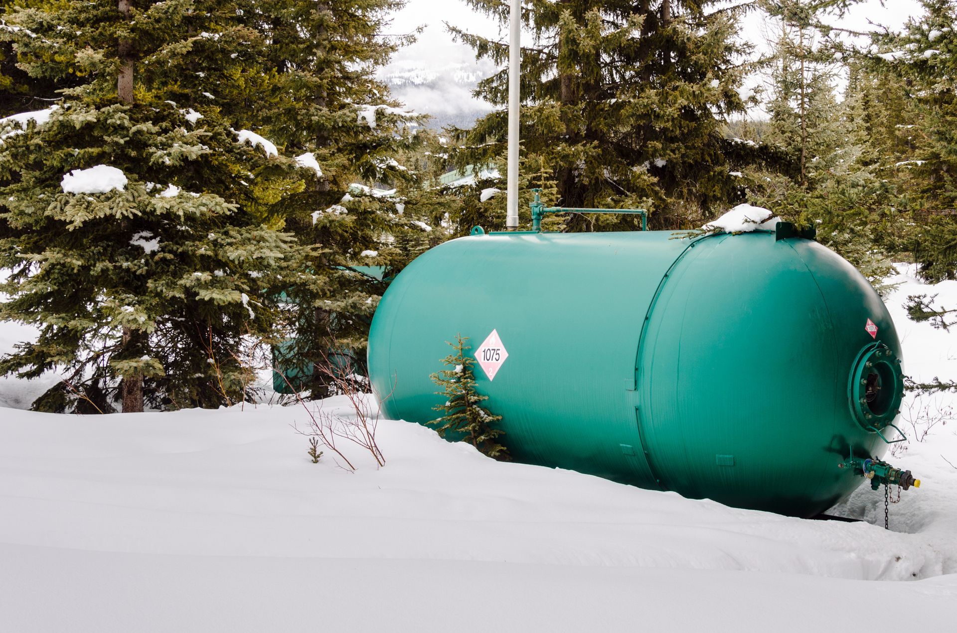 A large green propane tank in a snowy yard with pine trees in the background.