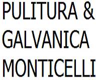 logo pulituragalvanica monticelli