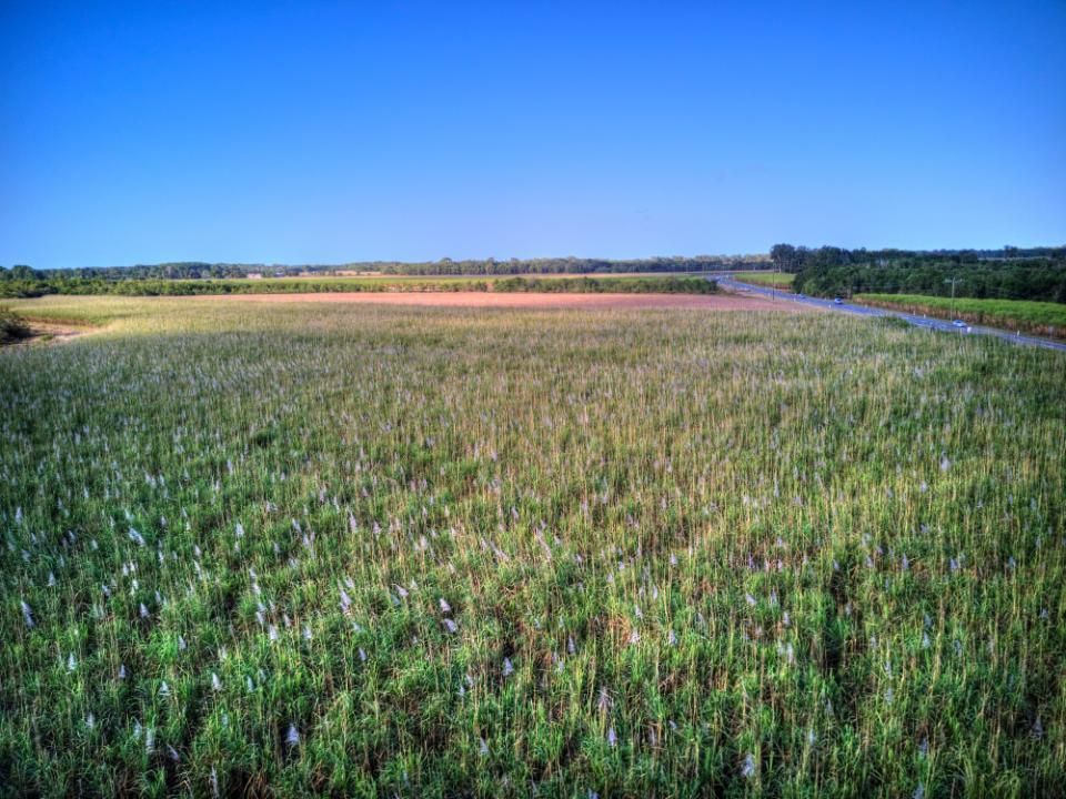 An Aerial View Of A Lush Green Field With A River In The Background — Lyons Street Paint Panel in Cairns, QLD