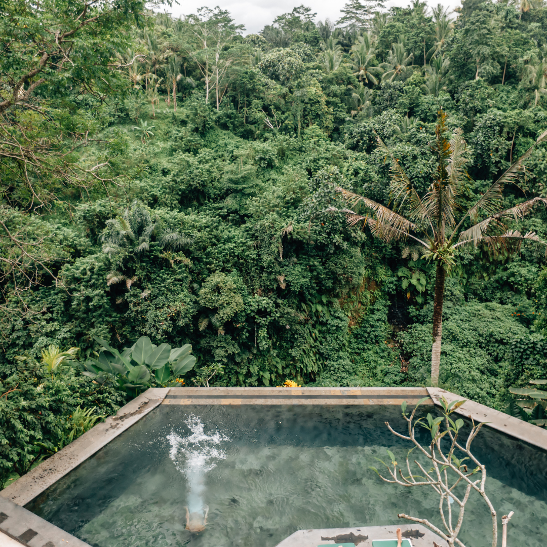Top Hotels Await