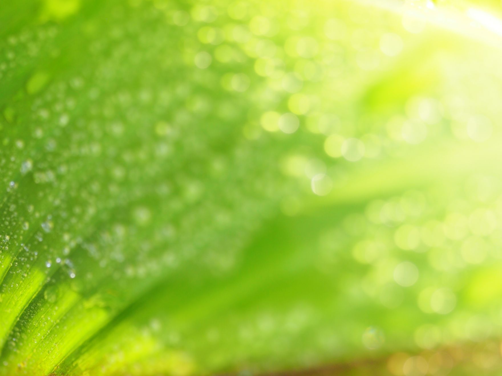 raccolta rifiuti civili