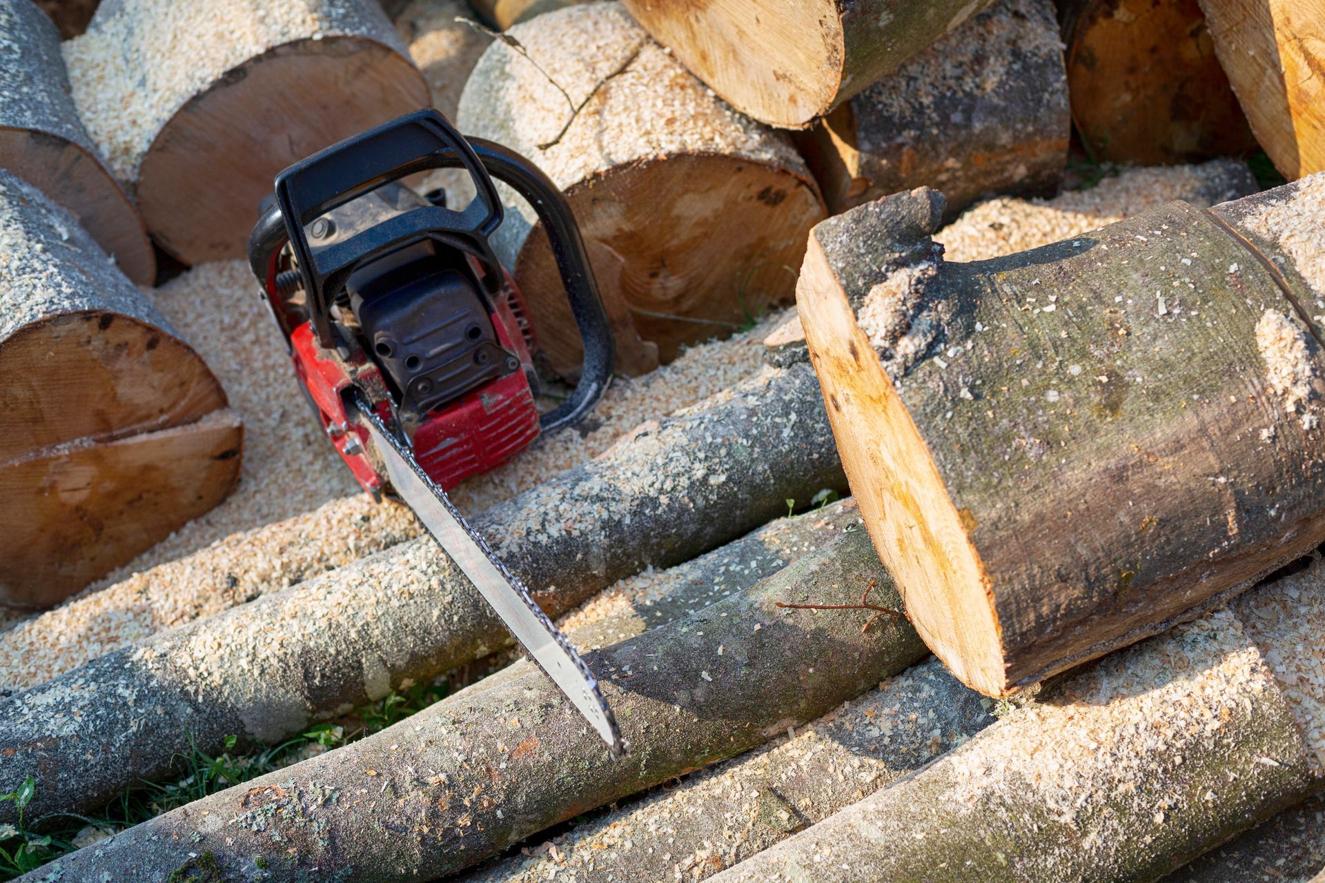 Tree Removal – Howell, NJ - Aaron's Tree Service, LLC