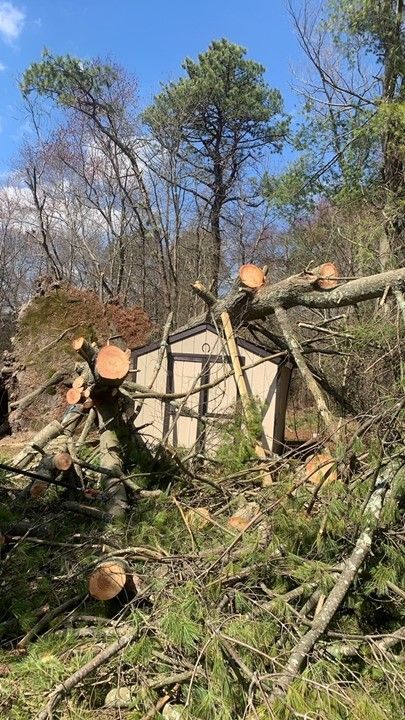 Tree At The Roof Of Housse – Howell, NJ - Aaron's Tree Service, LLC