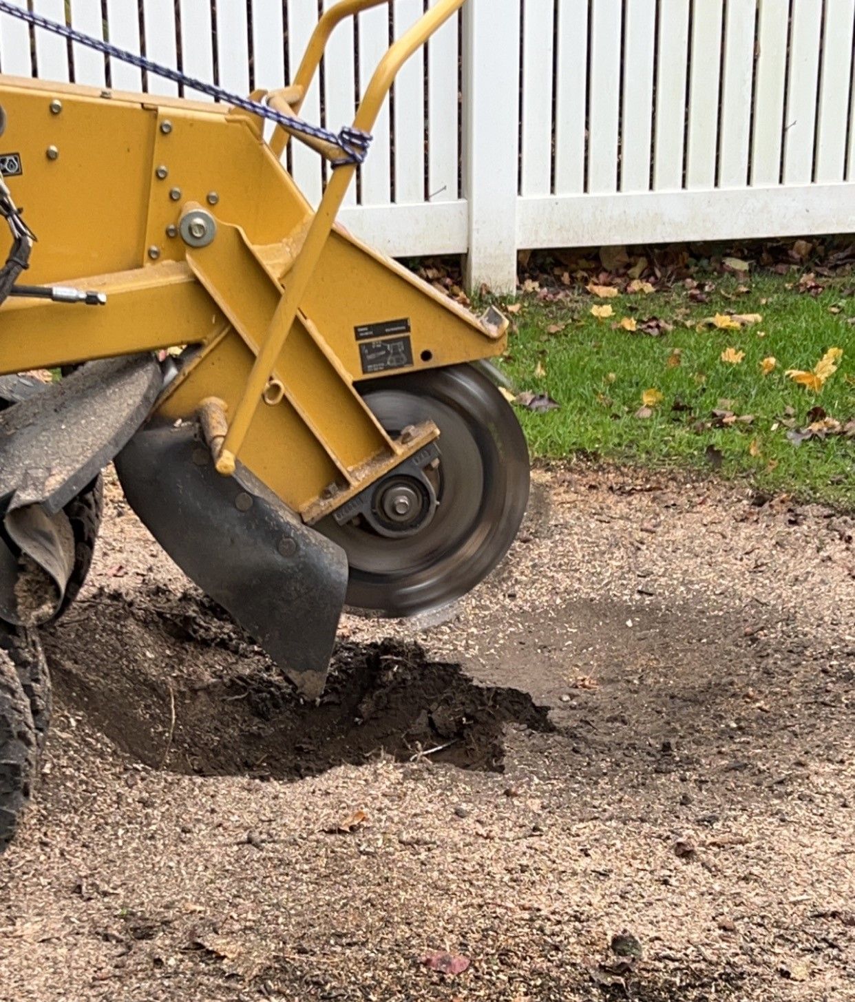 Stump  – Howell, NJ - Aaron's Tree Service, LLC