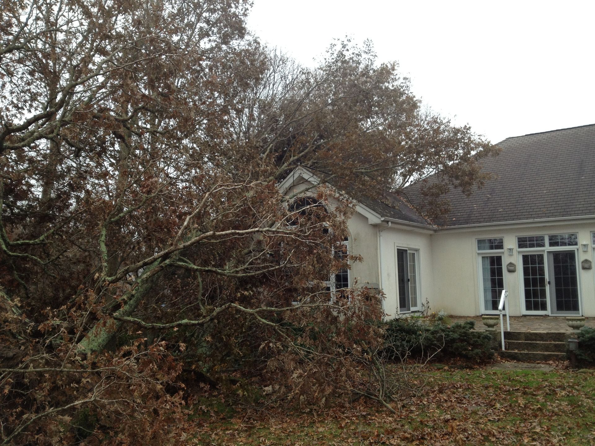 Cutting Tree  – Howell, NJ - Aaron's Tree Service, LLC