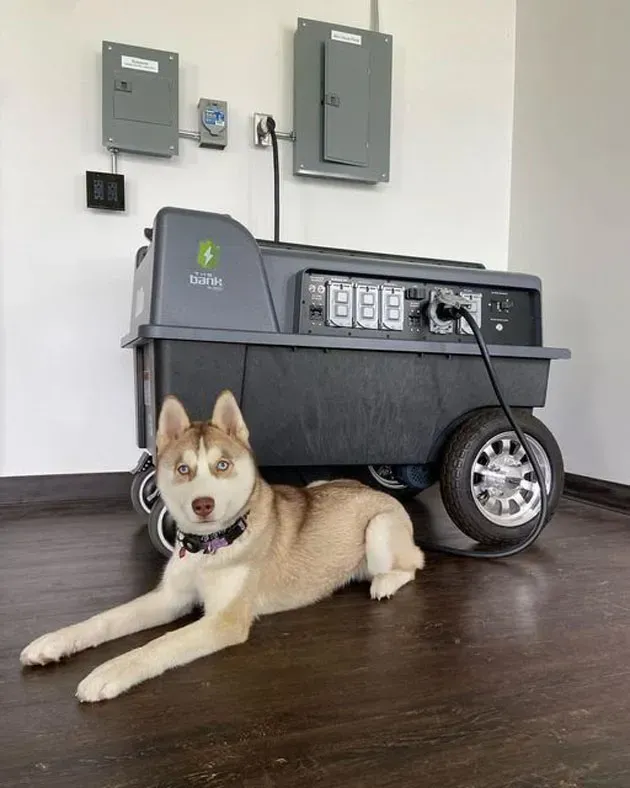 a husky dog is laying on the floor next to a generator .