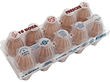 confezione da 10 uova