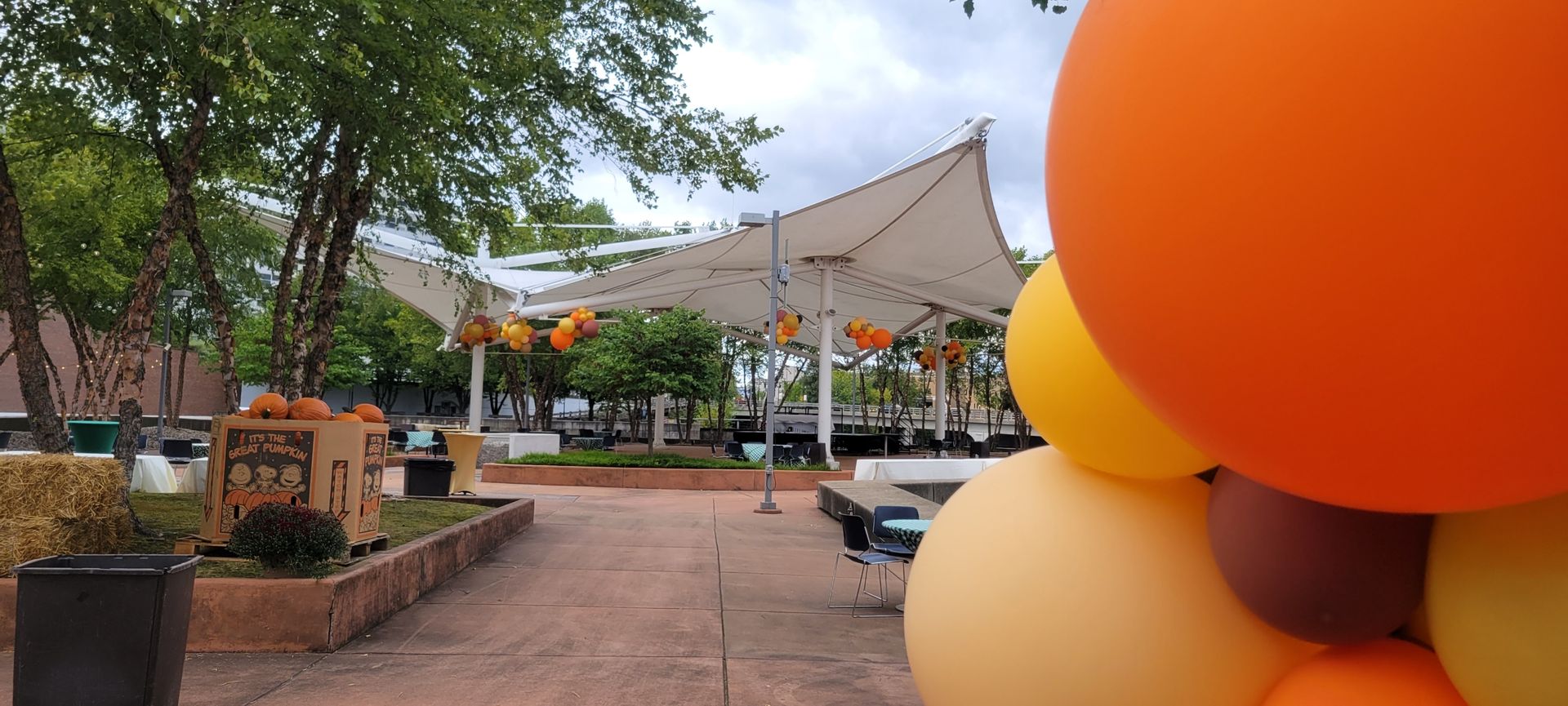 A bunch of orange and yellow balloons are sitting on the ground in a park.