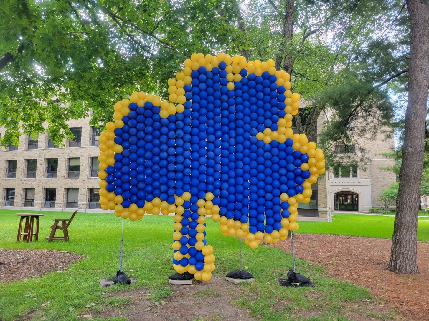 A clover made out of blue and yellow balloons.  Notre Dame Shamrock in blue