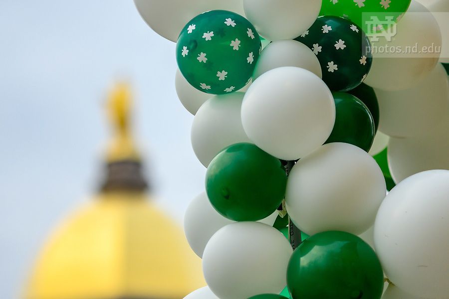 A bunch of green and white balloons with shamrocks on them