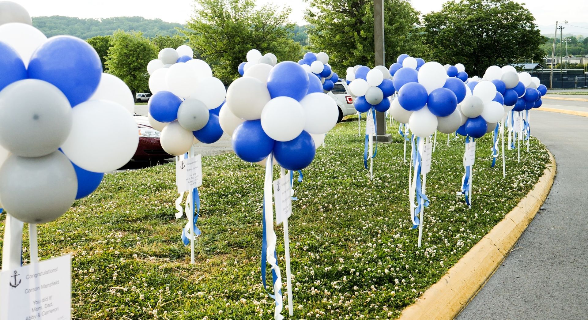 A row of blue and white balloons on sticks in the grass