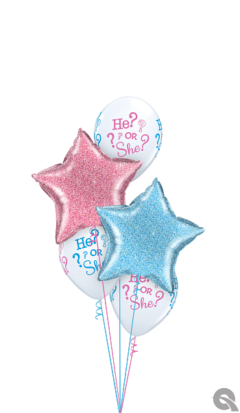 A bunch of balloons with the words he or she on them