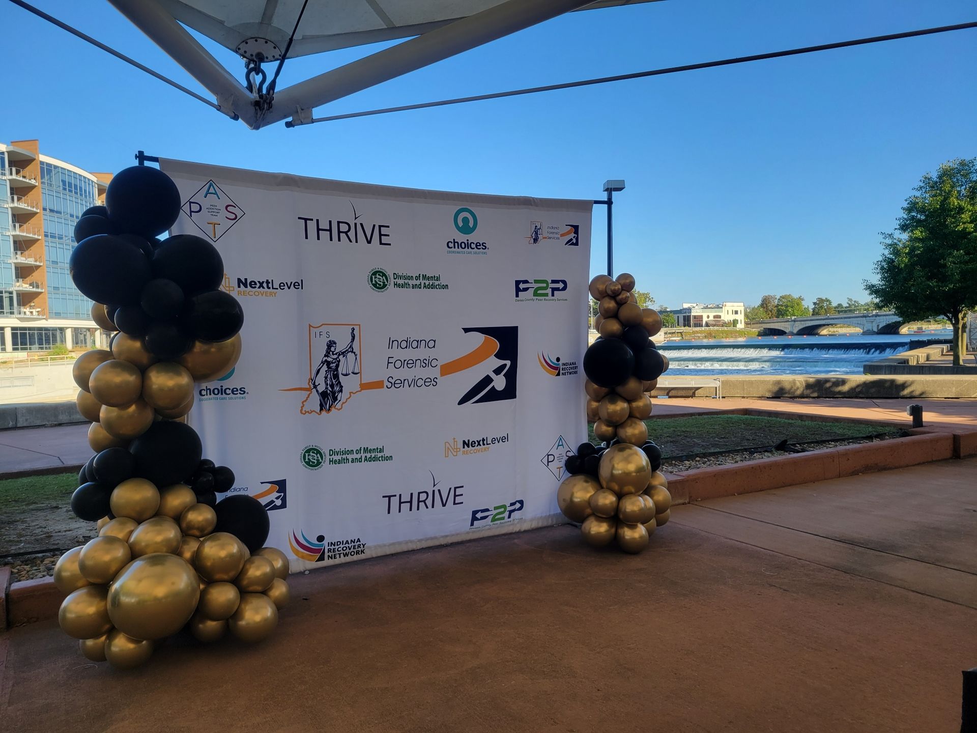 Event backdrop with black and gold balloon columns.