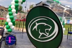 A green and white circle with a lion on it is surrounded by green and white balloons.