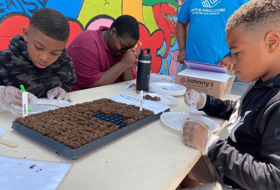 Black youth planting seeds for the Hydro-Wild Lab at the Clubhouse with a colorful background