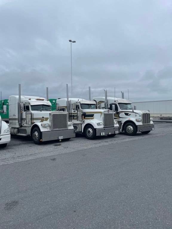 Trois semi-remorques blanches garées sur un parking, ciel couvert au-dessus.