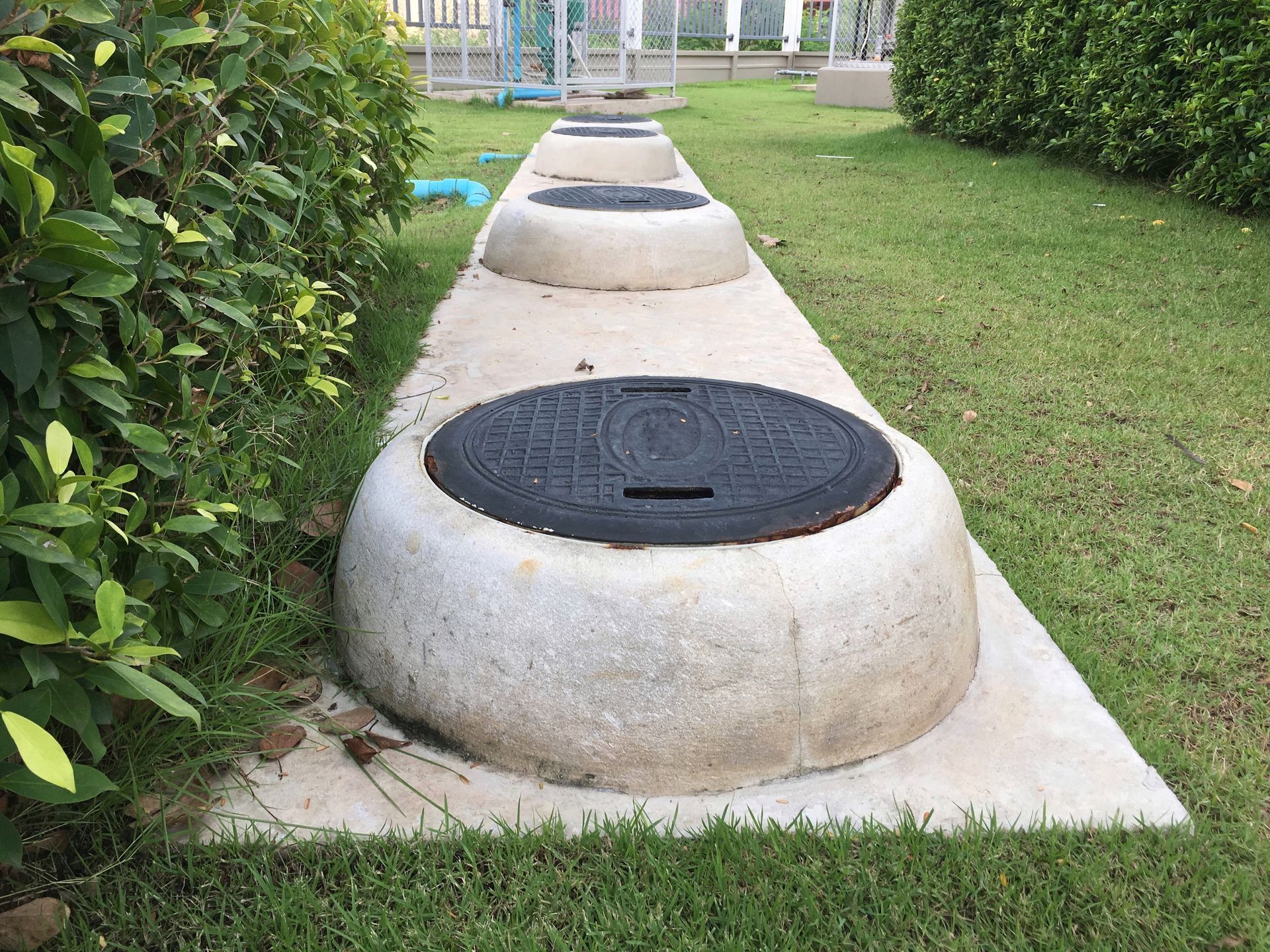 A row of manhole covers are lined up in a grassy area.