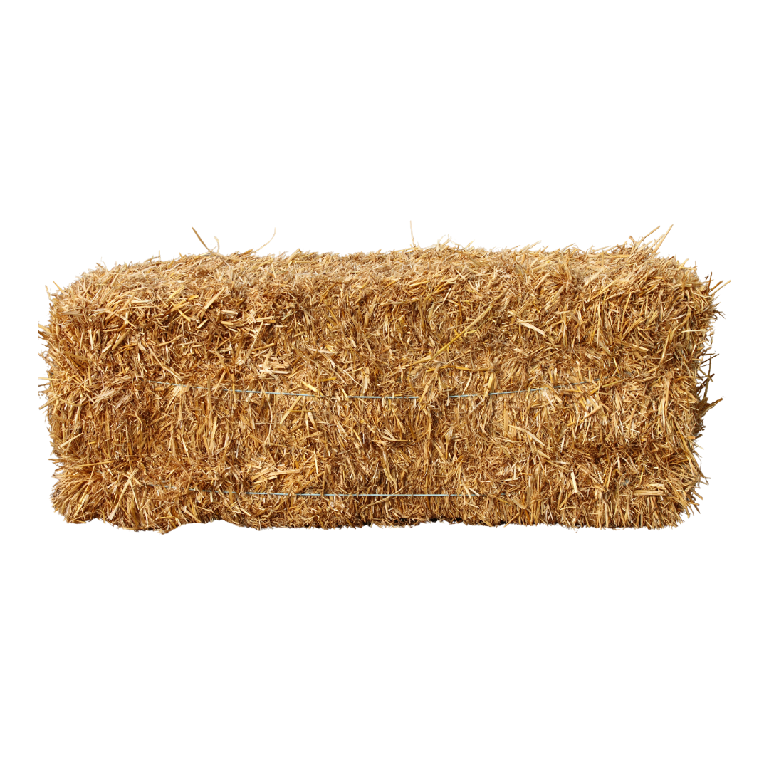 Rectangular bale of straw, tied with wire, golden brown.