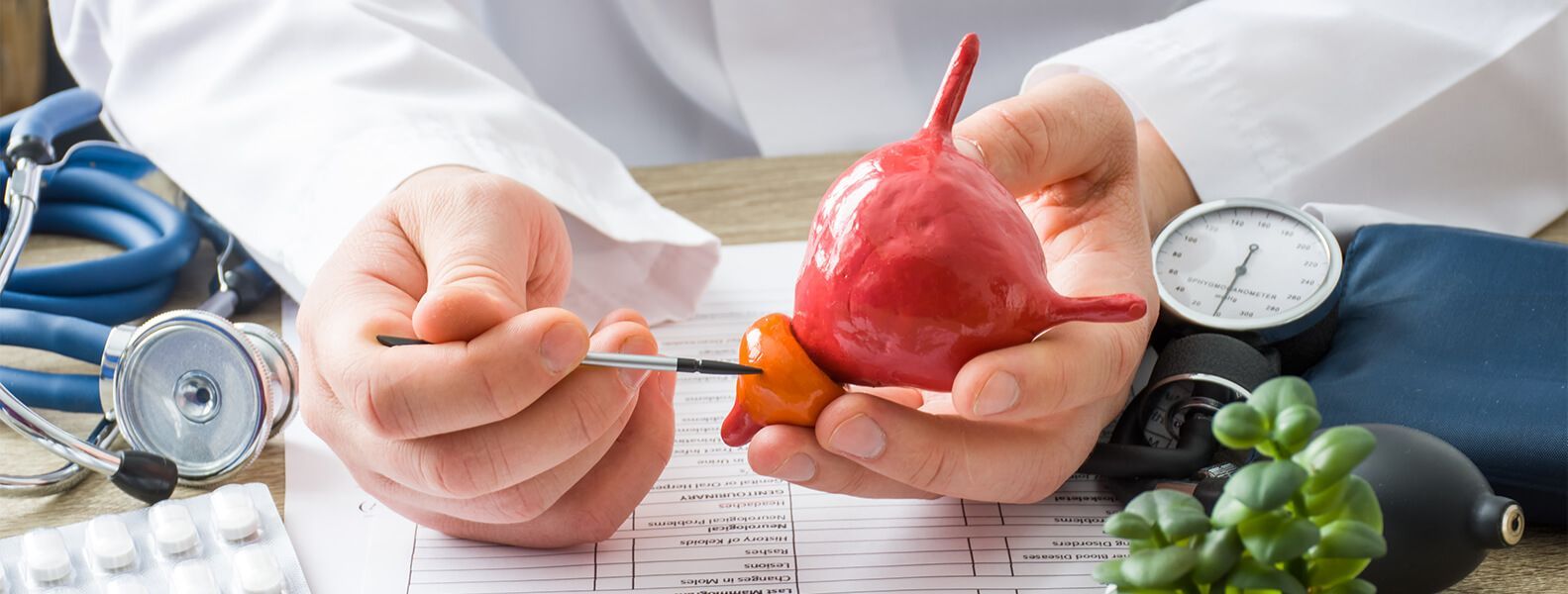 Prostate cancer checks (PSA test & rectal exam) available at 1 Health Christchurch. Learn pros and c