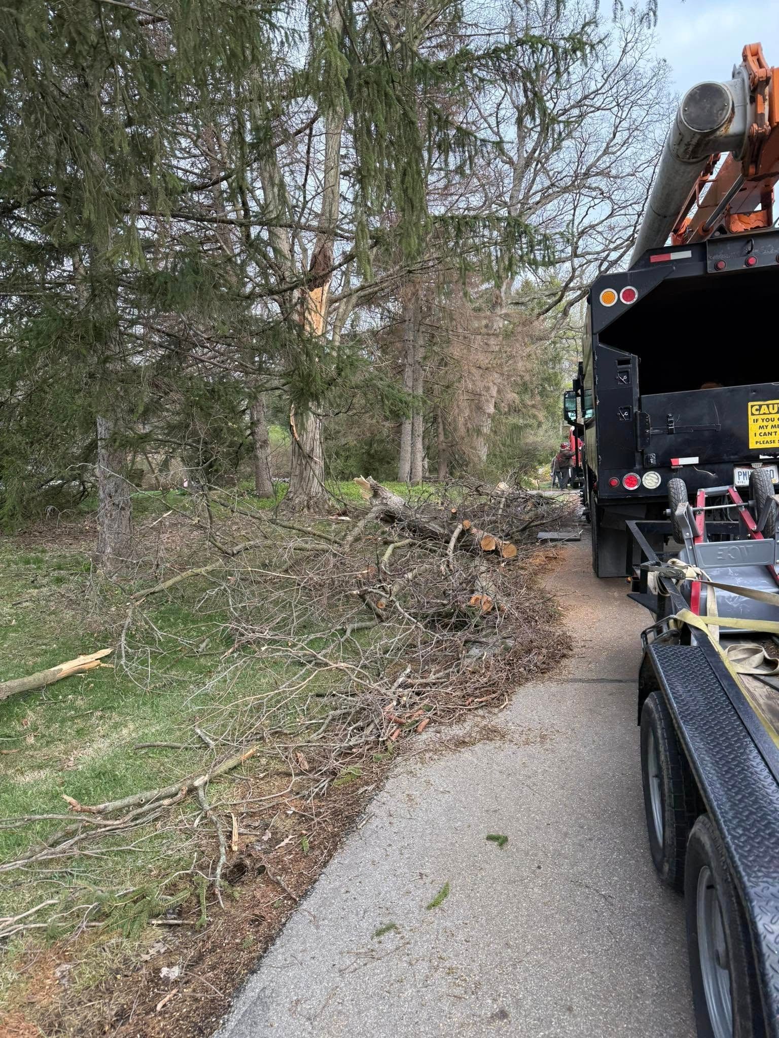 Wood chipper truck alongside a road, processing a pile of branches and debris near trees.