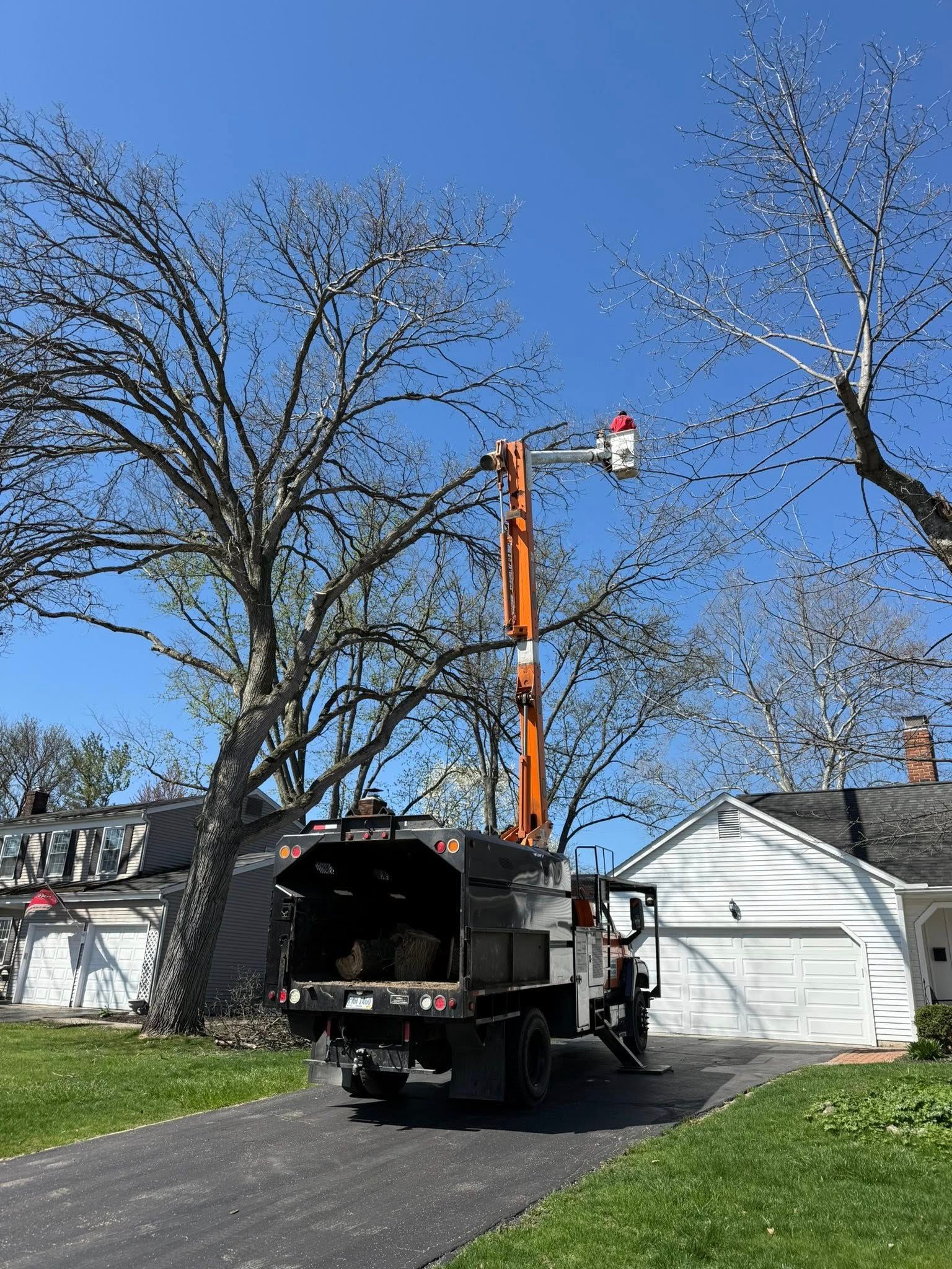 Tree trimming truck with extended boom, cutting branches on a sunny day.