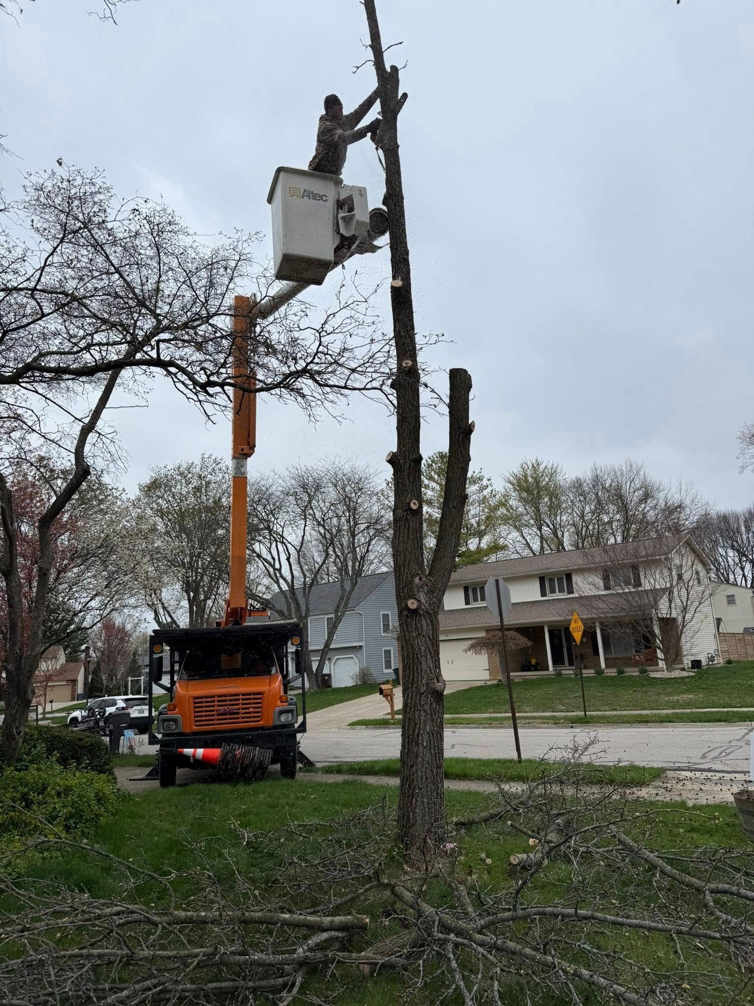 Man in bucket lift trimming a tall tree in a residential yard on an overcast day.
