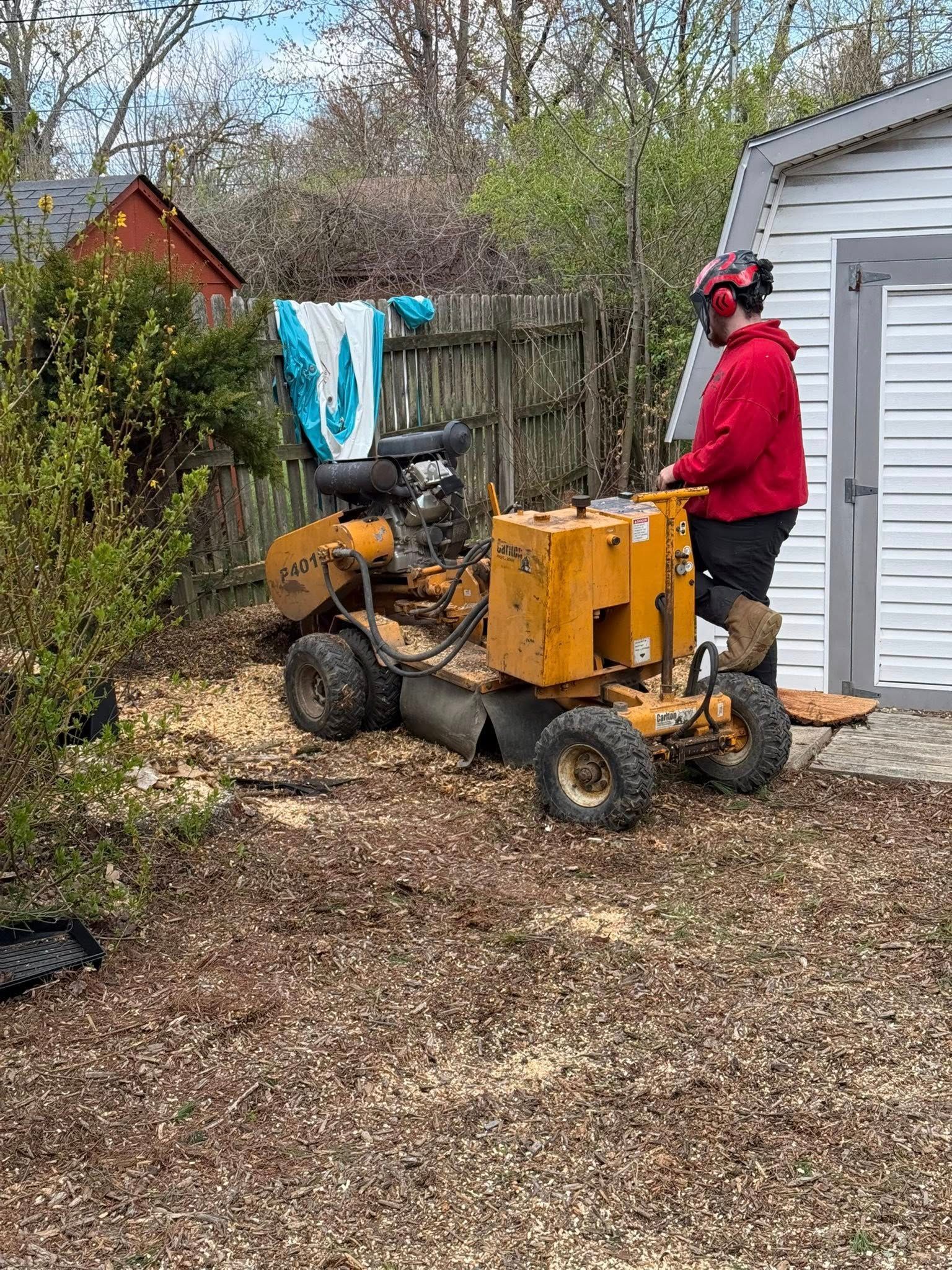 Person in red jacket operates a stump grinder, near a shed and fence, surrounded by wood chips.