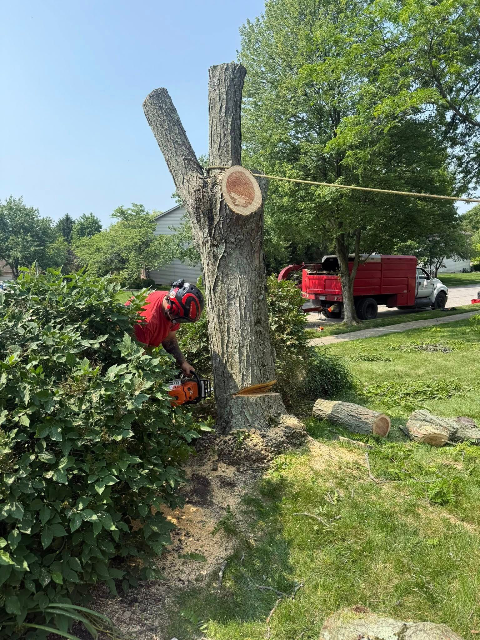 Person using chainsaw to cut a tree trunk; red truck in background.
