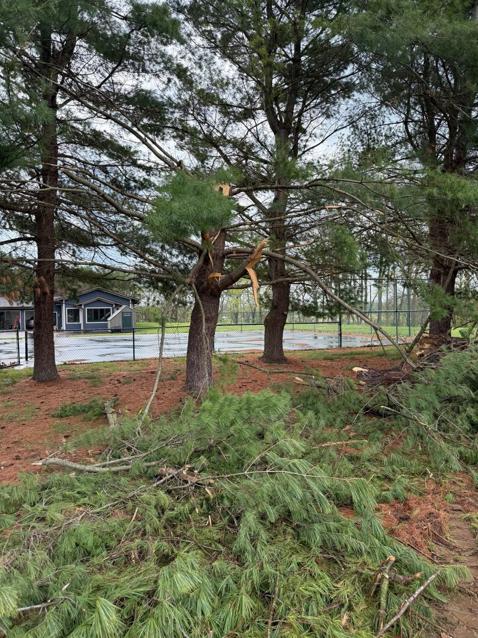 Trees with broken branches and debris on the ground, likely from a storm. A fence and building are visible in the background.