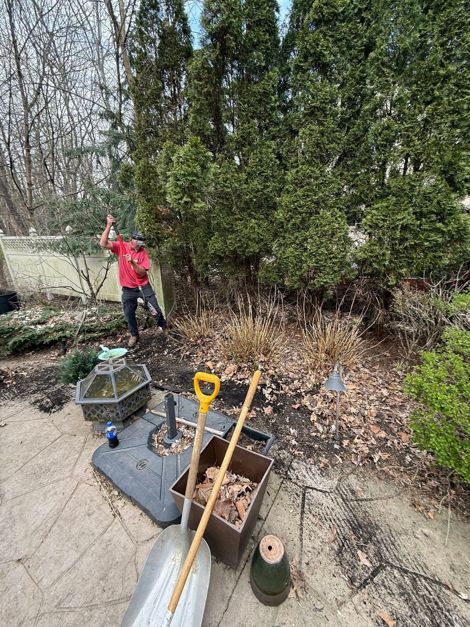 Person raking leaves in a garden with evergreen bushes and gardening tools on a patio.