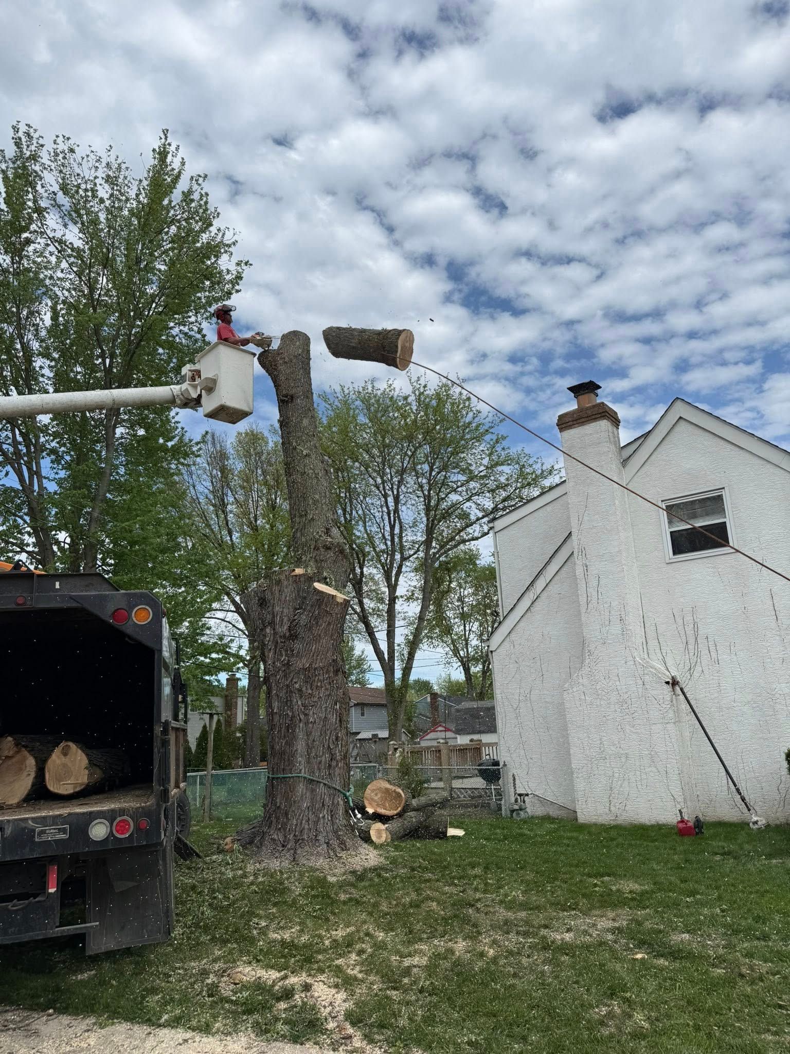 Tree service cutting down a tree next to a white house with a chimney; a truck with logs is present.