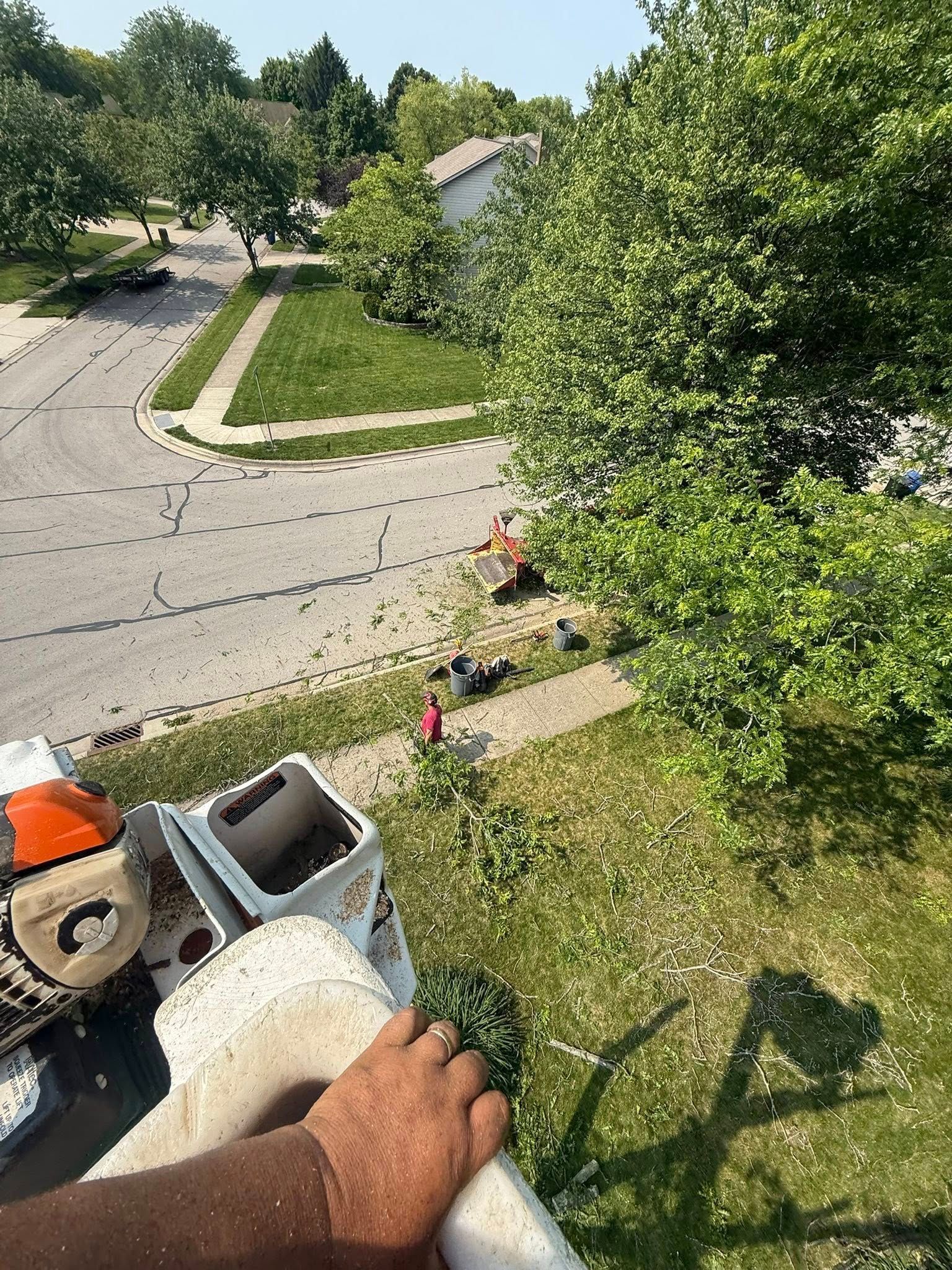 Man's hand holding a chainsaw, overlooking a yard where tree work is in progress.