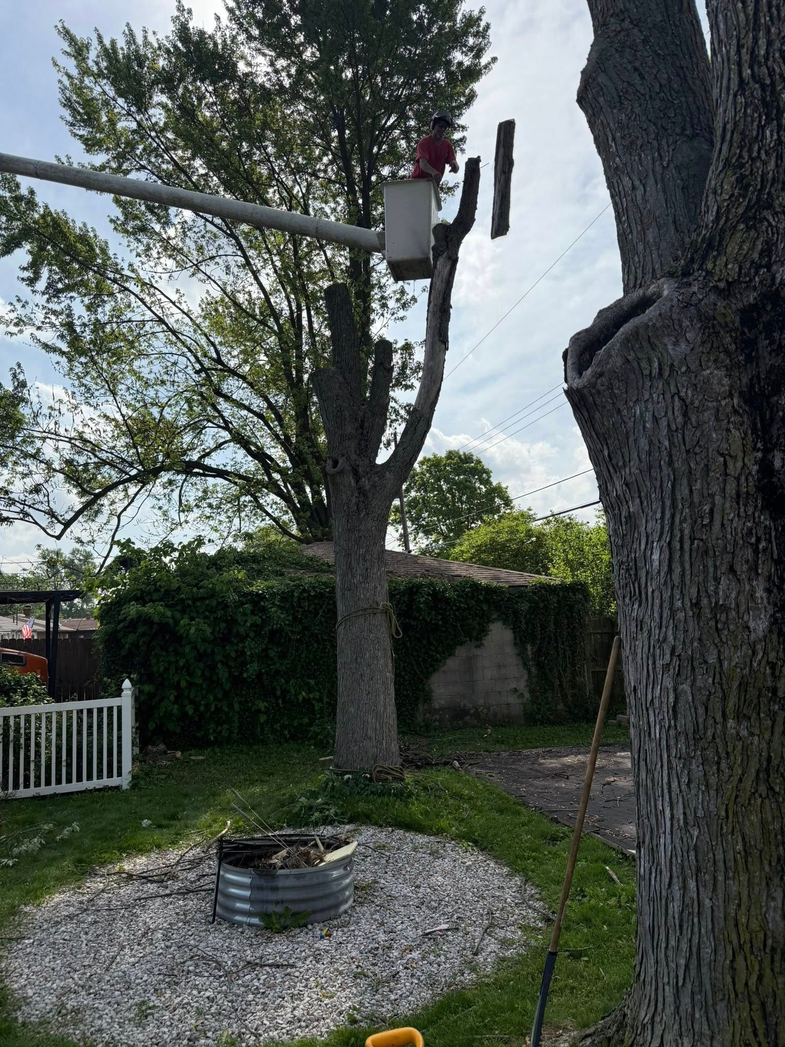 Tree trimming: worker in bucket truck cutting branches, residential yard with fire pit.
