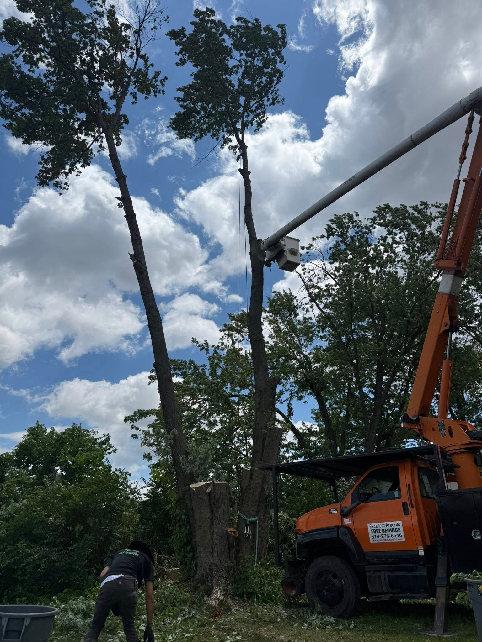 Tree removal: An orange crane arm is trimming tall trees under a partly cloudy blue sky. A worker is at the base with a shovel.