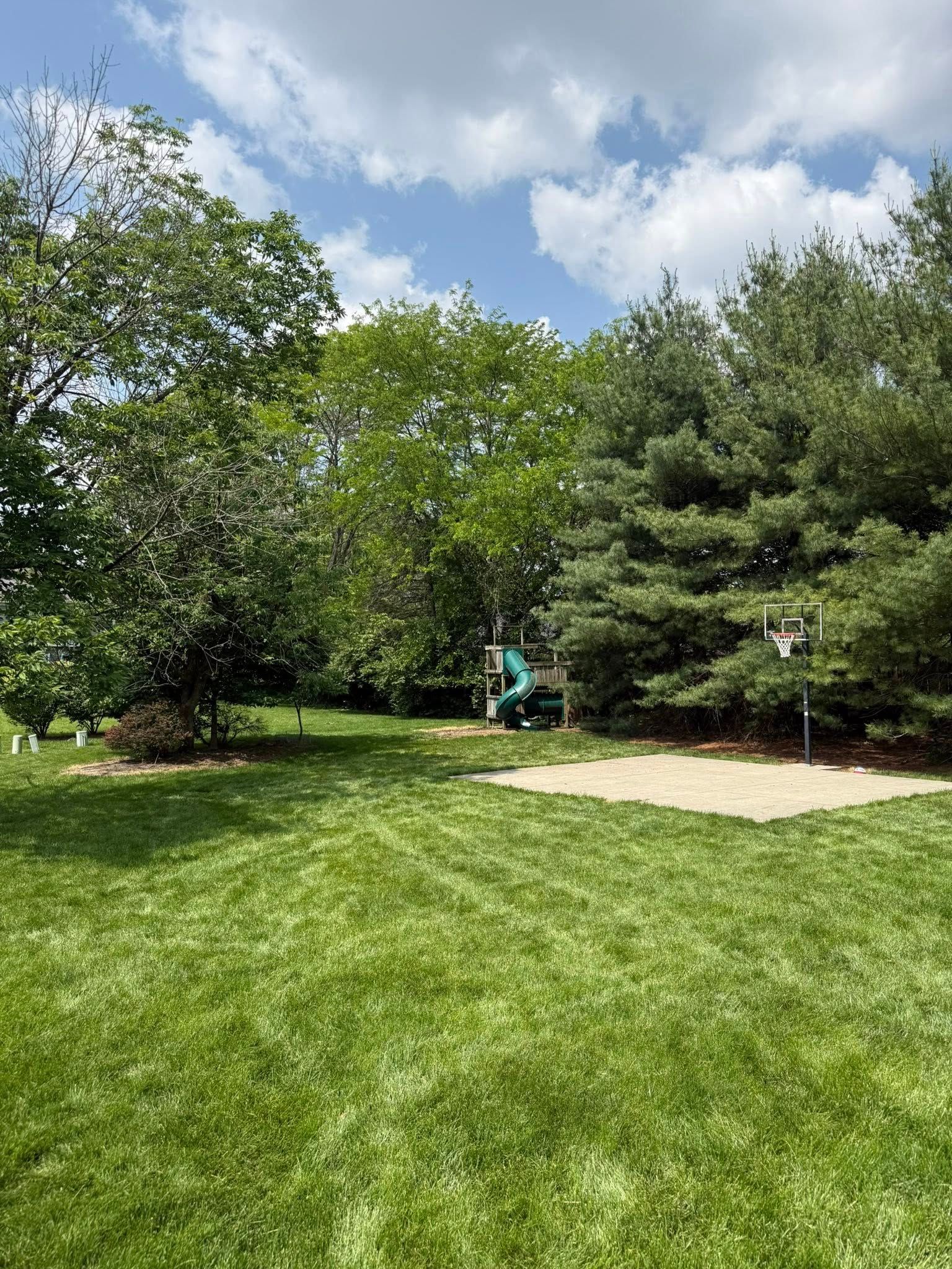 Lush green backyard with trees, blue sky, and a small green structure in the distance.