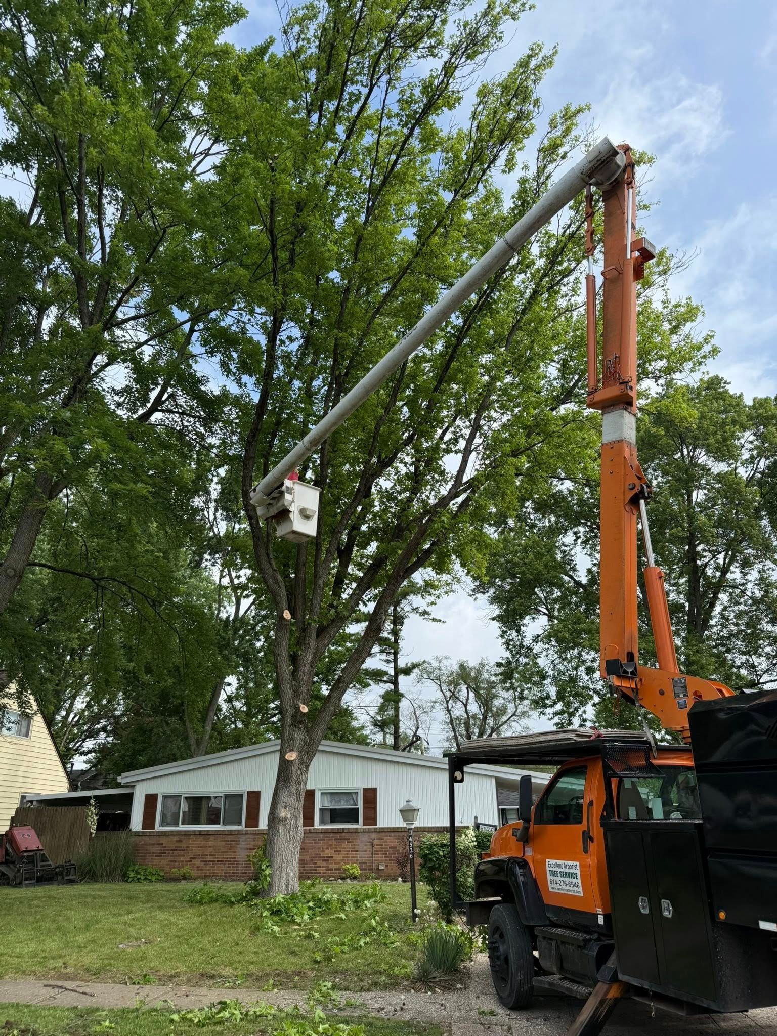 An orange tree service truck with an extended lift trimming a tree in front of a house on a cloudy day.