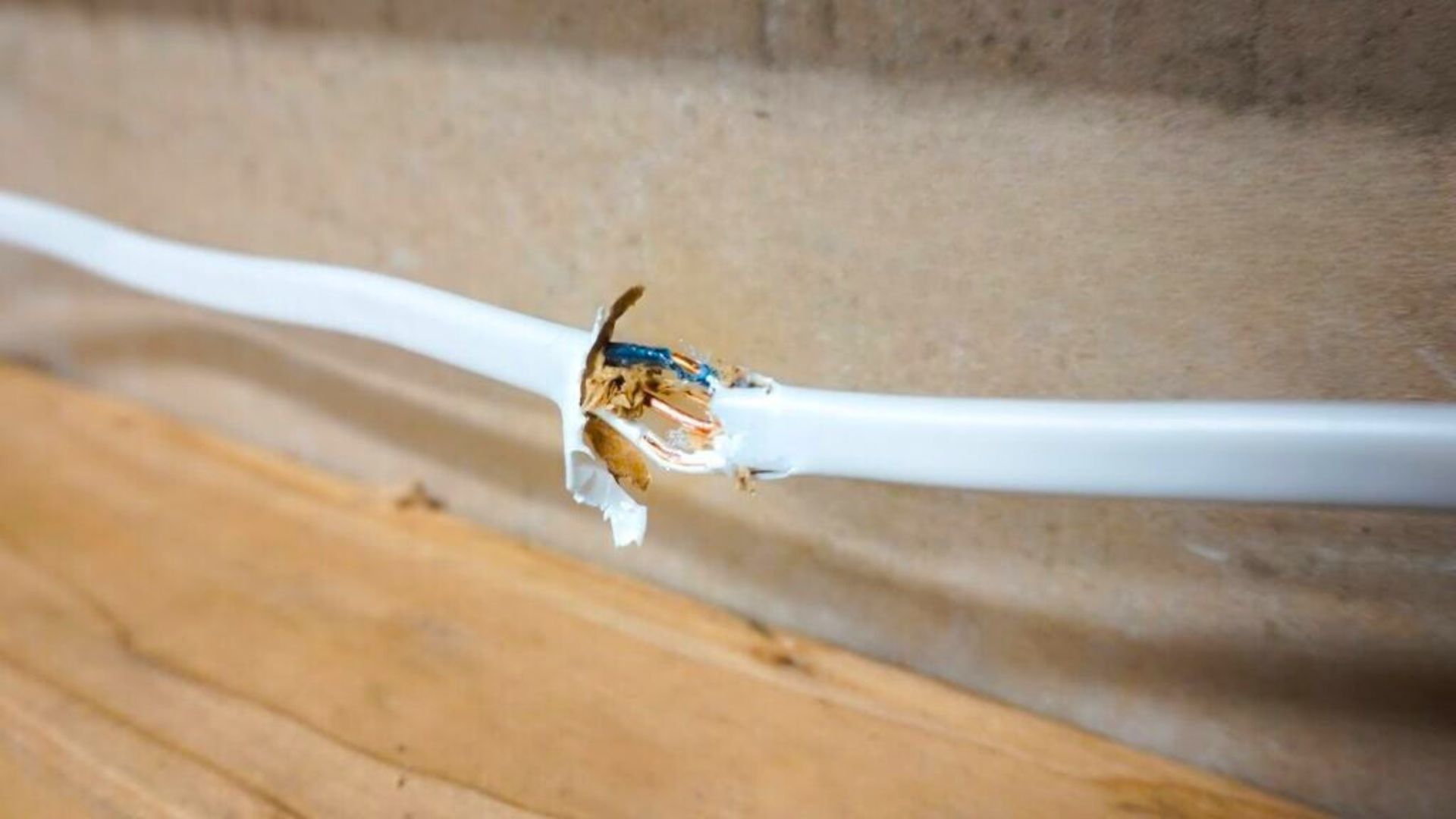 Electrical control panel with orange cables and various electrical components.