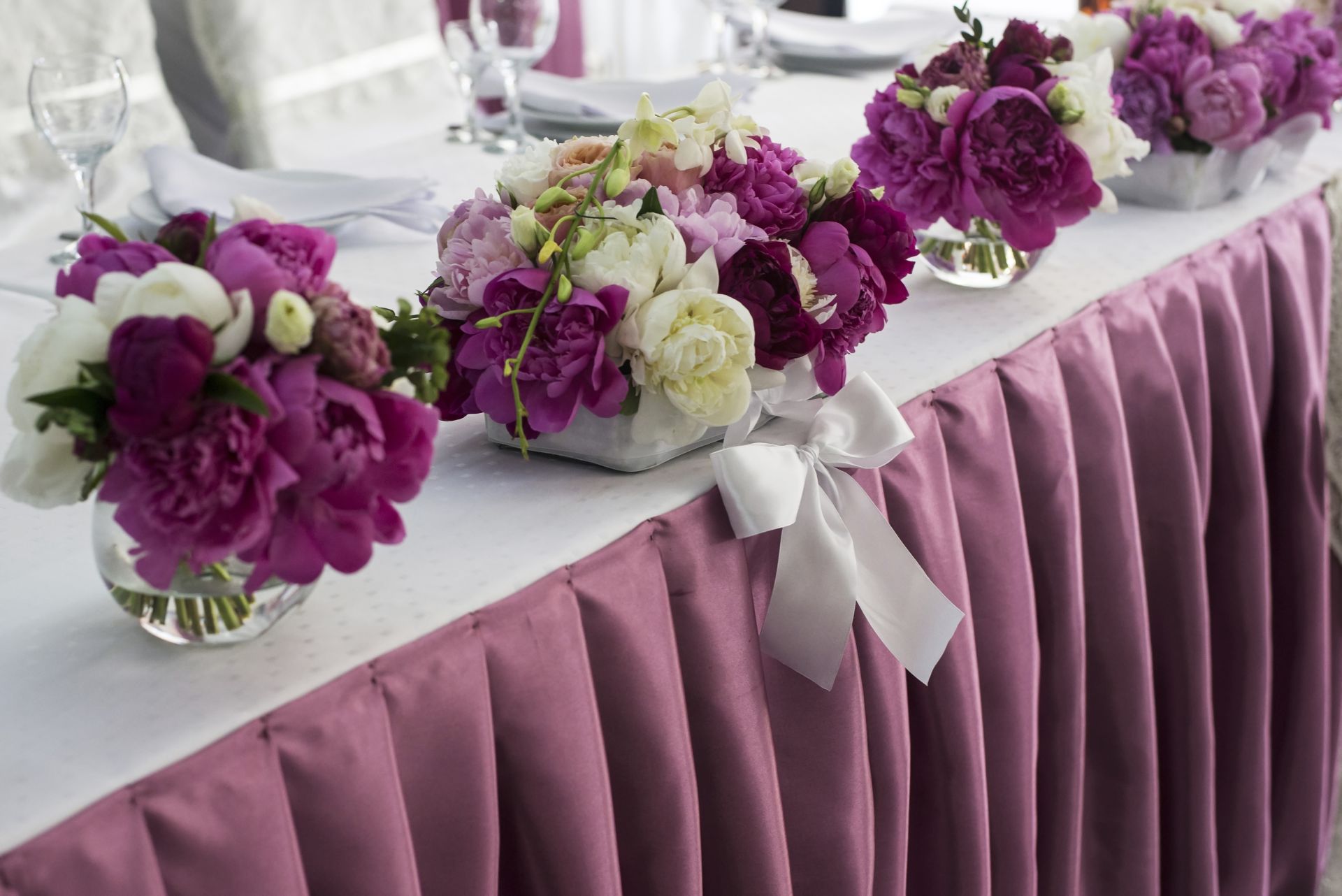 Piante e fioriOfferte e promozioni