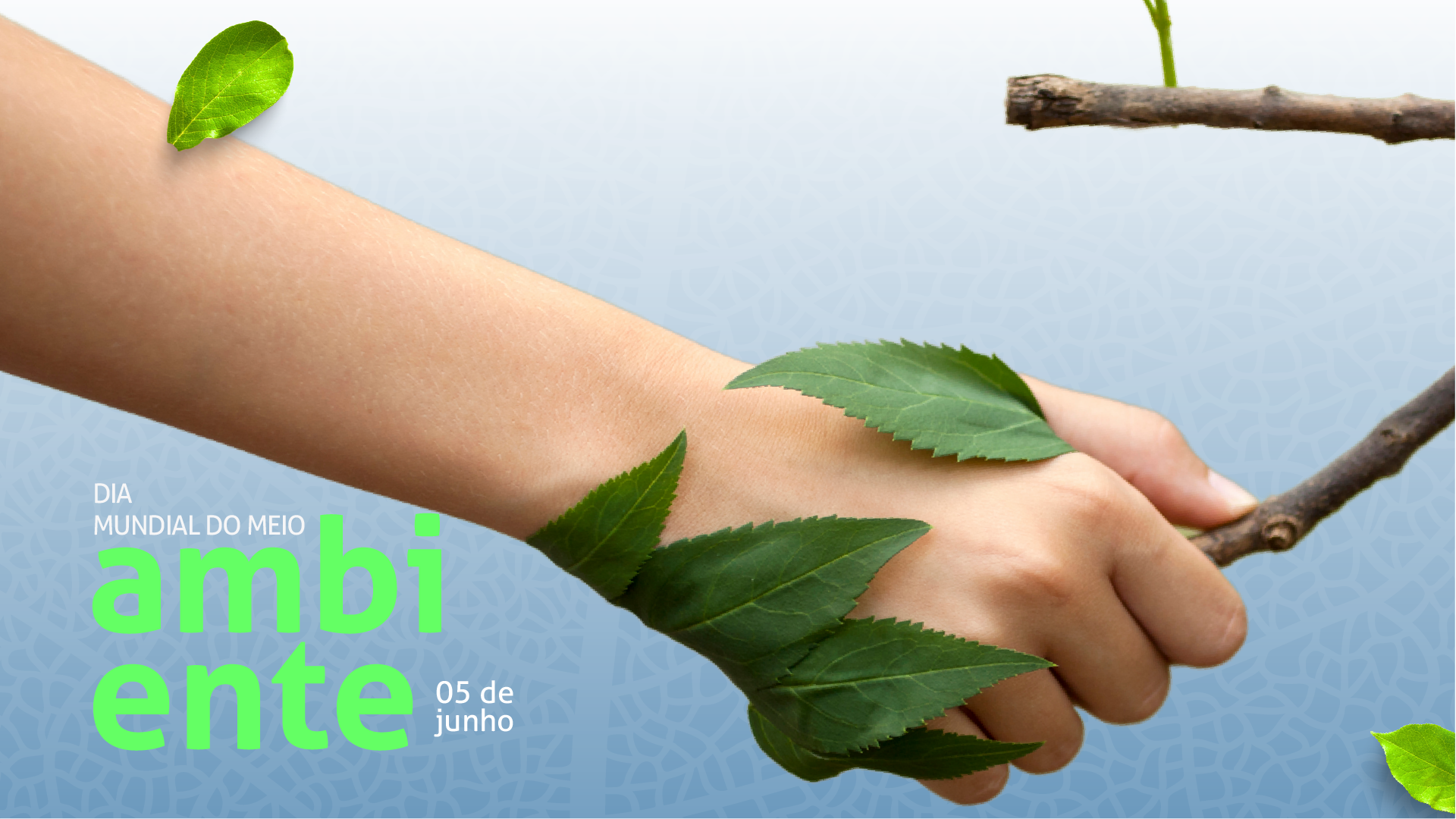 05 de Junho - Dia Mundial do Meio Ambiente