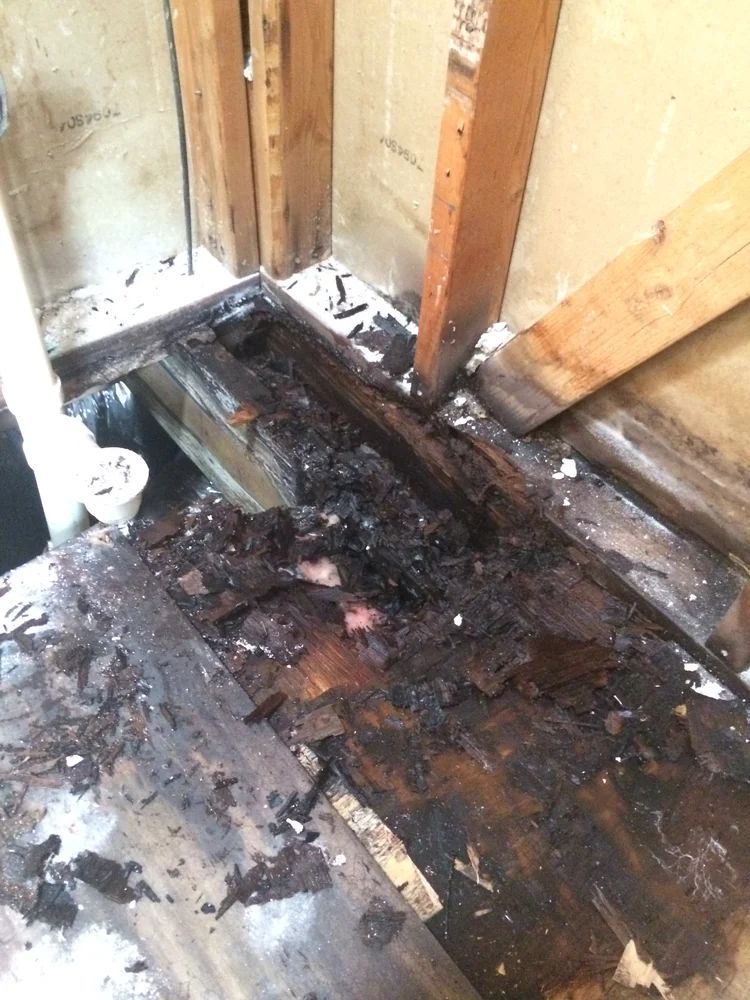 Damaged bathroom floor with rotted wood and exposed plumbing.