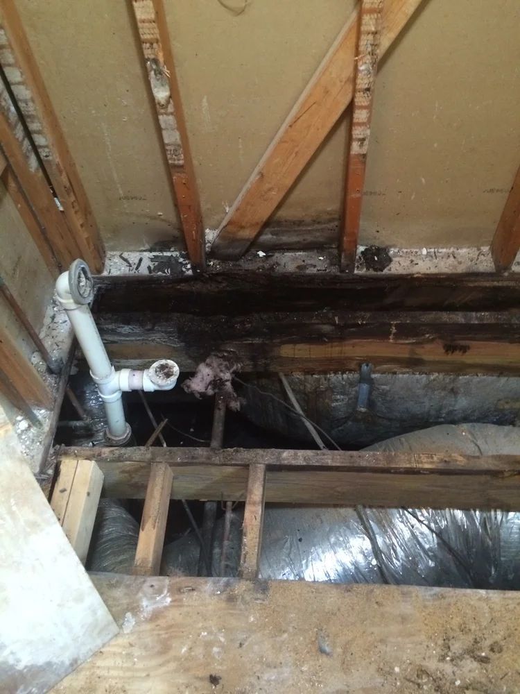Exposed bathroom plumbing and damaged wooden beams show evidence of water damage and mold growth.